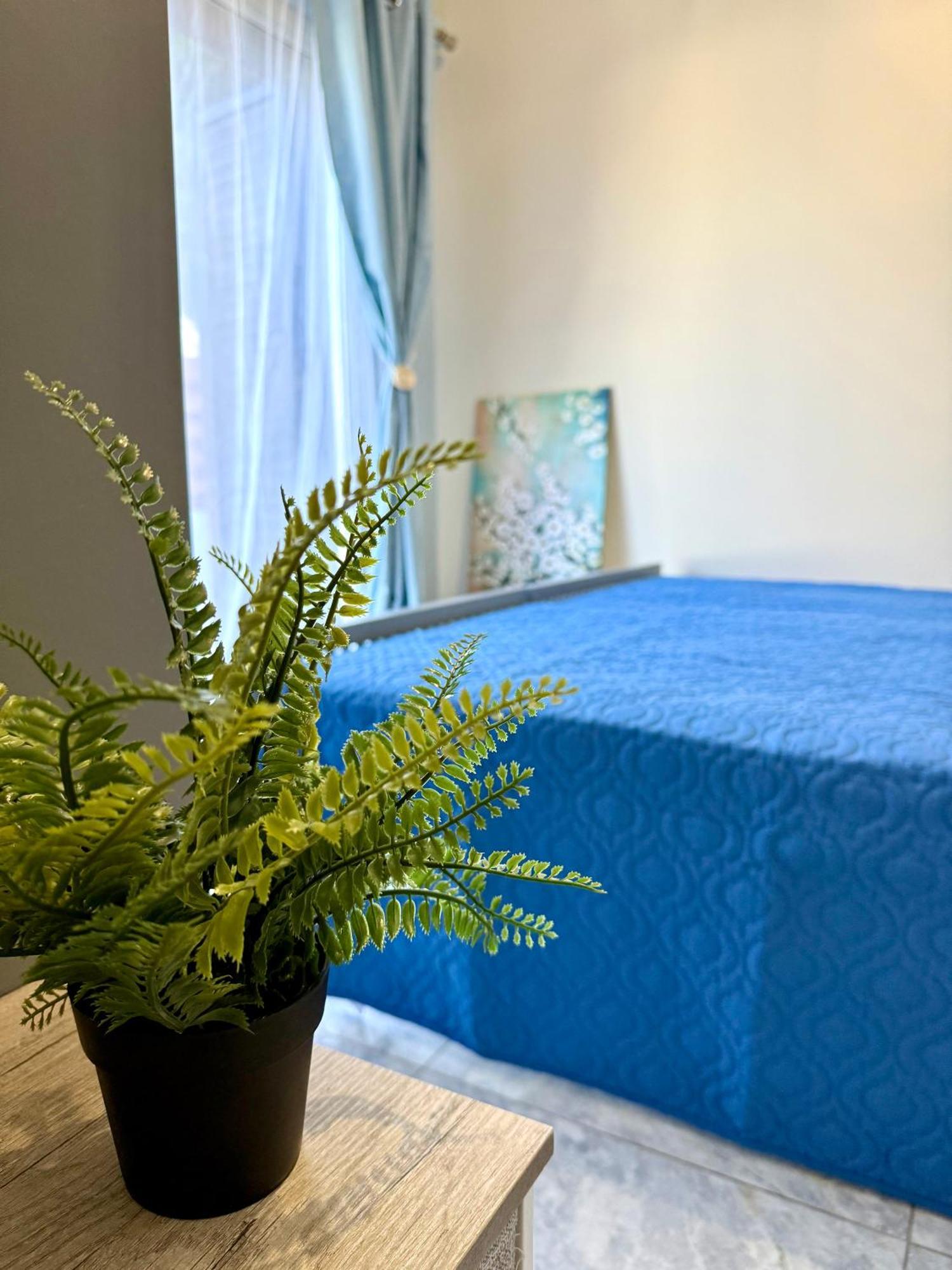 Apartament Dub House Pafos Zewnętrze zdjęcie